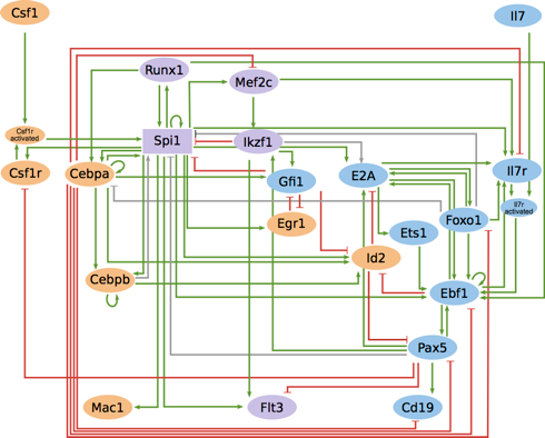 Regulatory graph