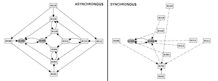 Construction strategy: synchronous versus asynchronous